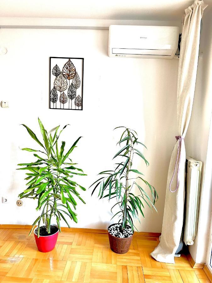 Vintage Bucharest Apartment Bagian luar foto