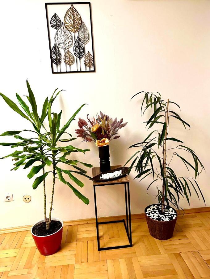 Vintage Bucharest Apartment Bagian luar foto